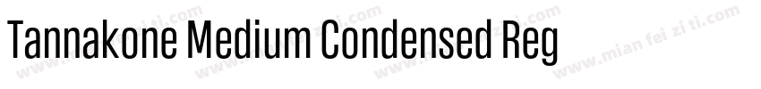 Tannakone Medium Condensed Regular字体转换